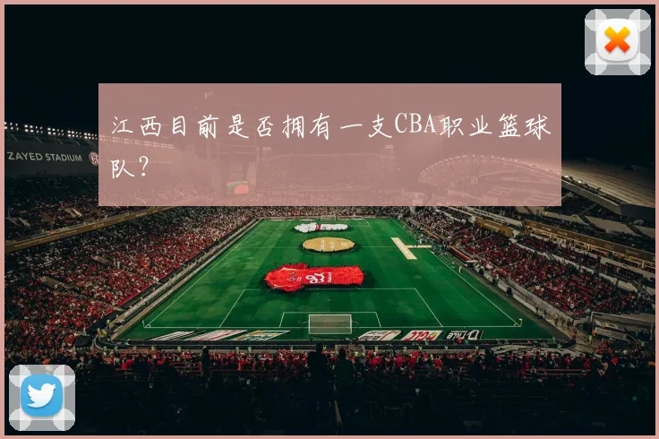江西目前是否拥有一支CBA职业篮球队？