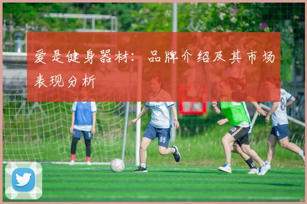 爱是健身器材：品牌介绍及其市场表现分析
