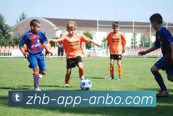 多媒体互动体验